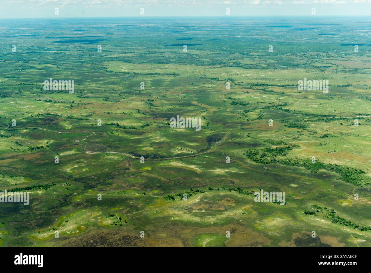 Vue aérienne du paysage dans le delta de l'Okavango, au Botswana, qui n'a presque pas d'eau après des années de projet. Banque D'Images