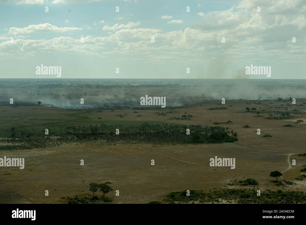 Vue aérienne du paysage avec des feux de forêt brûlant dans le delta de l'Okavango, au Botswana, qui n'a presque pas d'eau après des années de projet. Banque D'Images