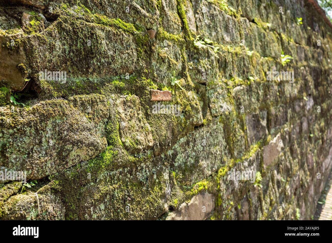 humidité vieilli mur de briques de ciment fond Banque D'Images