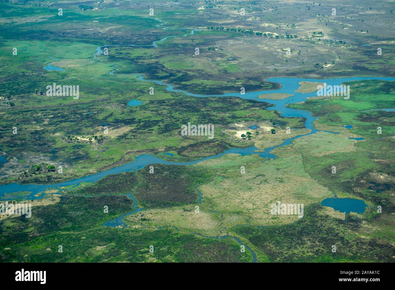 Photo aérienne du vol au-dessus du delta de l'Okavango, qui connaît un projet, aux plaines de Gomoti, au Botswana. Banque D'Images