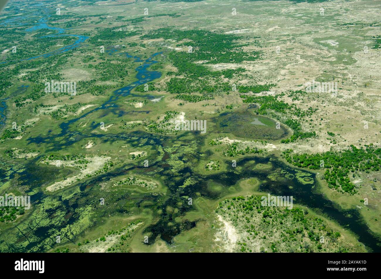 Photo aérienne du vol au-dessus du delta de l'Okavango, qui connaît un projet, aux plaines de Gomoti, au Botswana. Banque D'Images