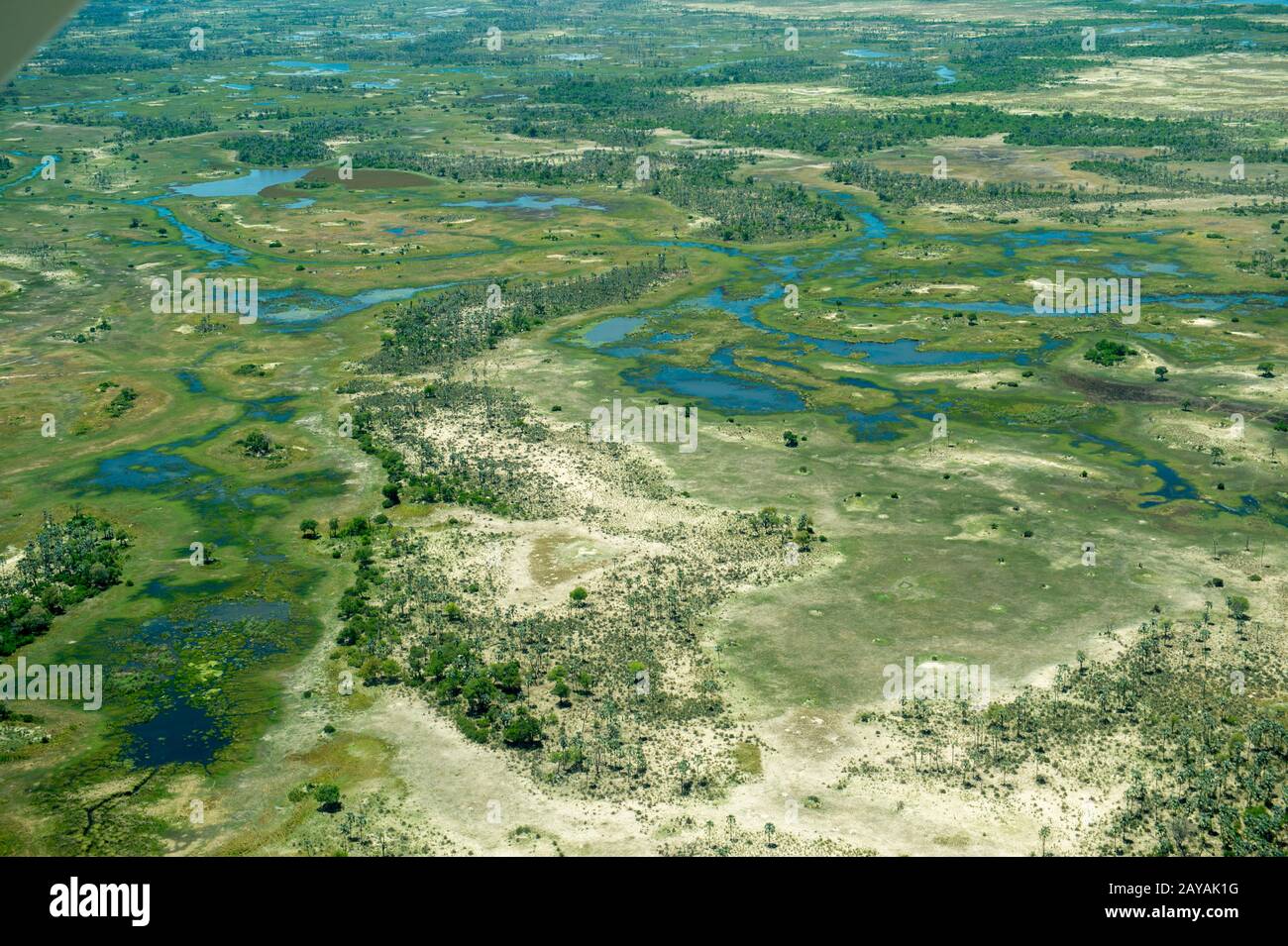 Photo aérienne du vol au-dessus du delta de l'Okavango, qui connaît un projet, aux plaines de Gomoti, au Botswana. Banque D'Images