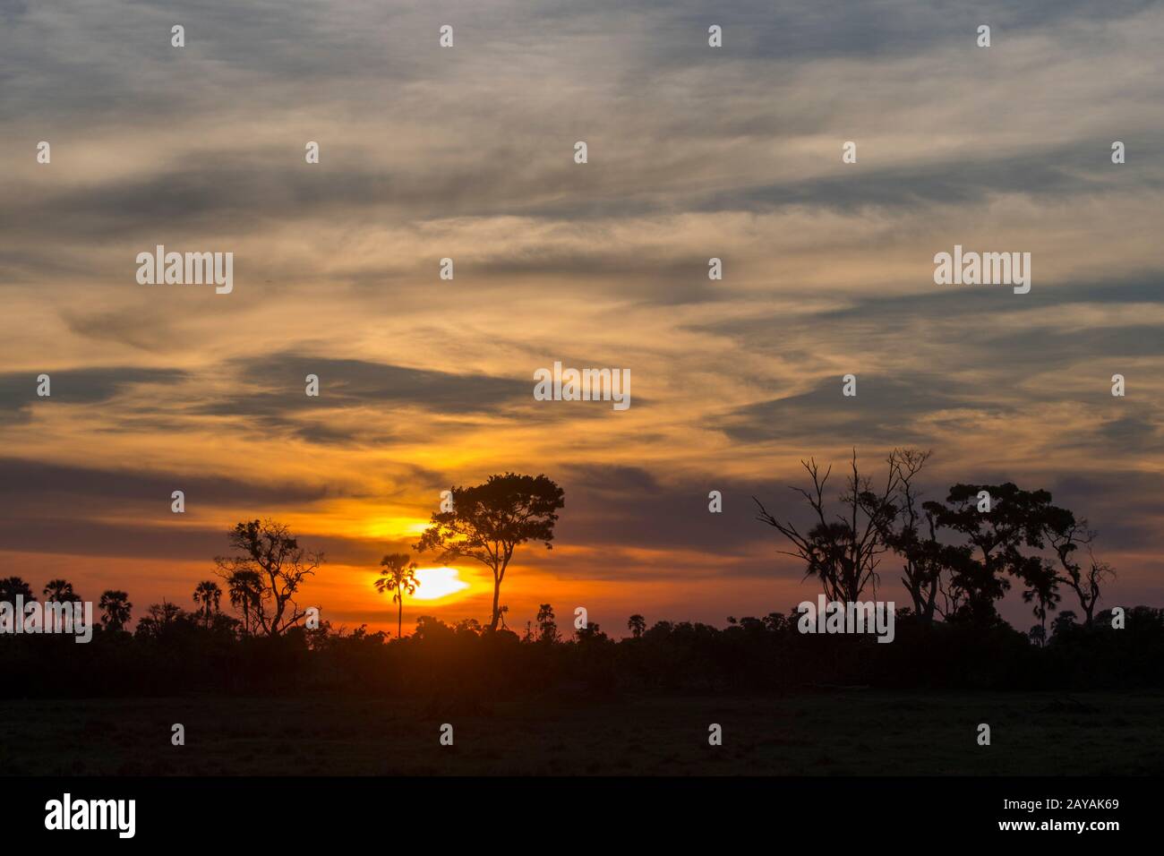 Coucher du soleil sur la région des plaines de Gomoti, concession communautaire, au bord du réseau fluvial de Gomoti, au sud-est du Delta d'Okavango, au Botswana. Banque D'Images