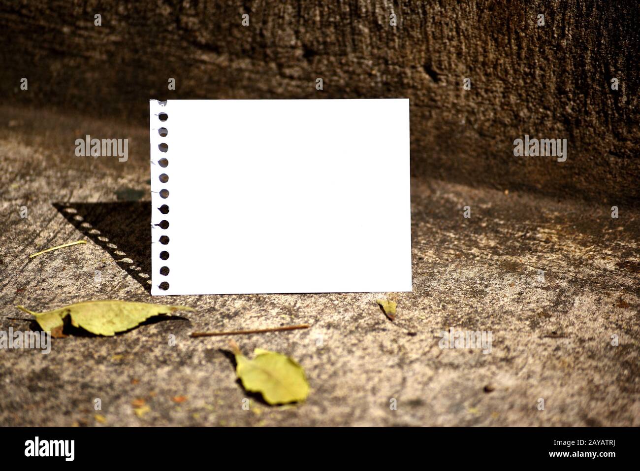 Gros plan photo d'un cahier vide à reliure spirale déchiré et plié en deux contre l'ancien mur de pierre avec piétiné séché automne Banque D'Images