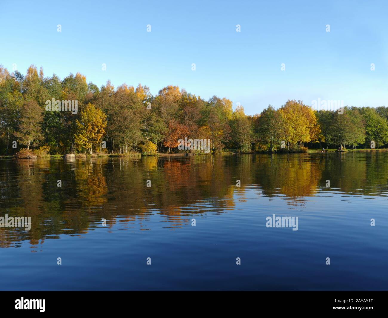 arbres colorés reflétés dans le lac d'eau bleu Banque D'Images