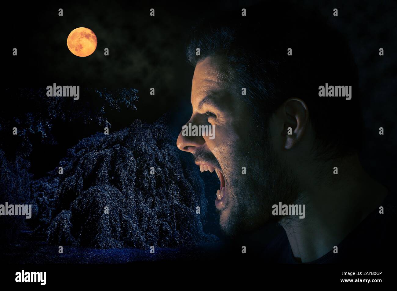 Hurler l'homme avant la pleine lune dans une scène de nuit d'Halloween effrayante. Banque D'Images