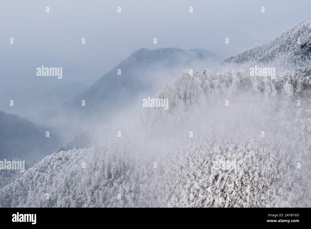 fond de forêt de montagne d'hiver Banque D'Images