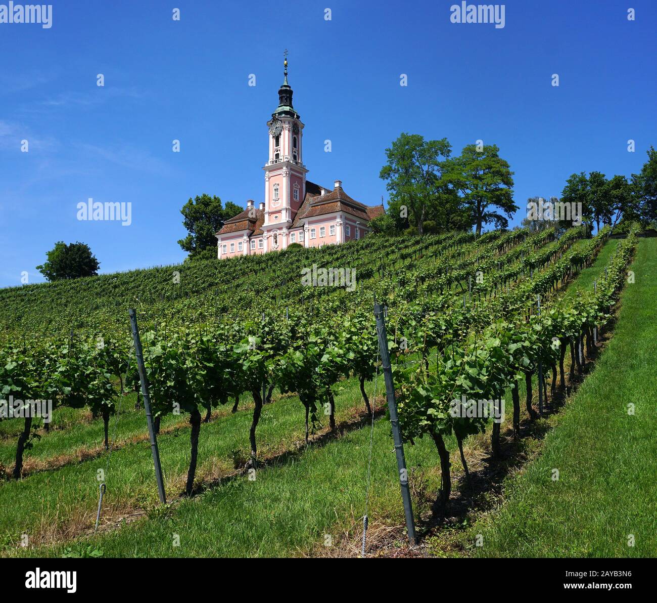 Pèlerinage église Birnau au lac de constance, Allemagne Banque D'Images