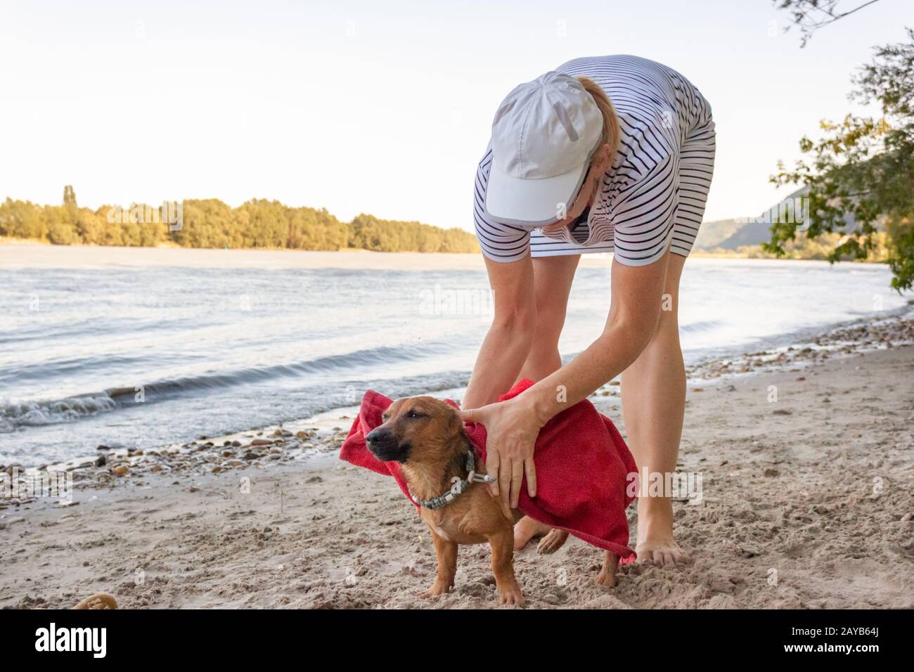 Femme séchant son petit chien de race mélangée à la plage de la rivière avec une serviette. Chien, style de vie et va d'été Banque D'Images