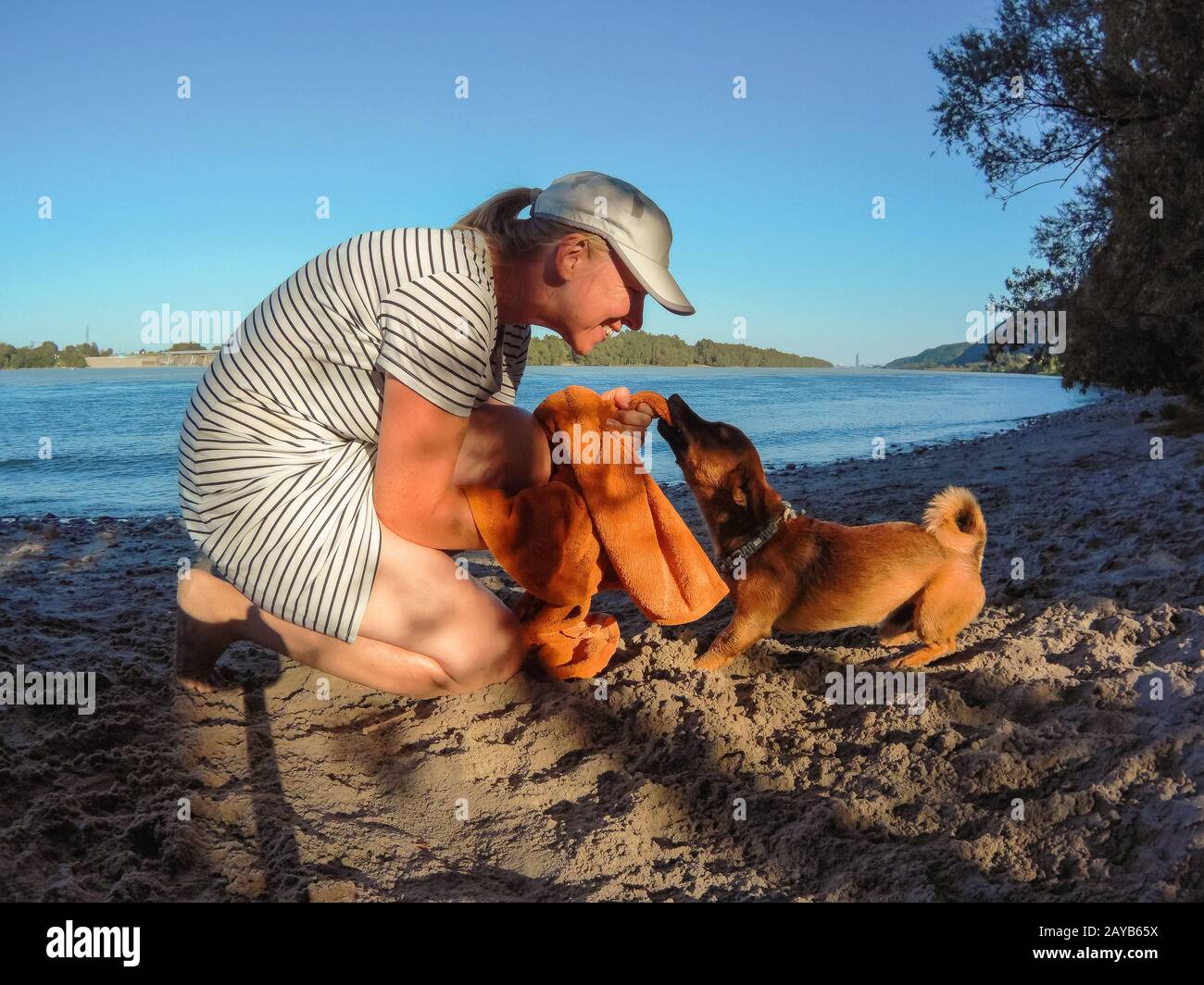 Femme jouant avec son petit chien de race mixte à la plage de la rivière avec une serviette. Chien, style de vie et somme Banque D'Images