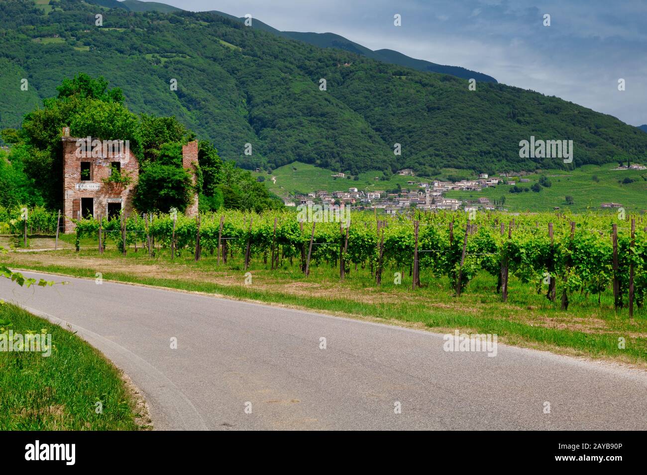 Route entre les vignobles de Valdobbiadene. Banque D'Images