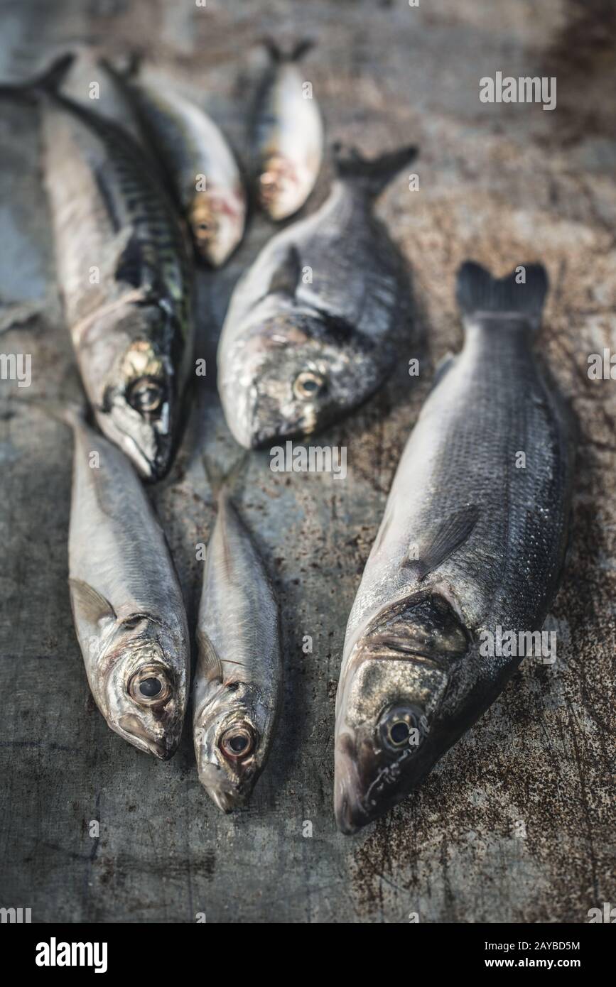 Poisson cru. Dorade, bar, maquereau et sardines sur fond sombre. Citron et herbes près des poissons. Banque D'Images