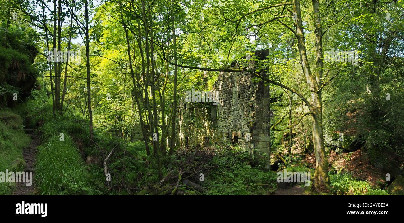 une vue panoramique d'un ancien bâtiment en pierre ruiné entouré d'arbres de forêt verte et d'un sentier en plein soleil à l'origine appeler Banque D'Images