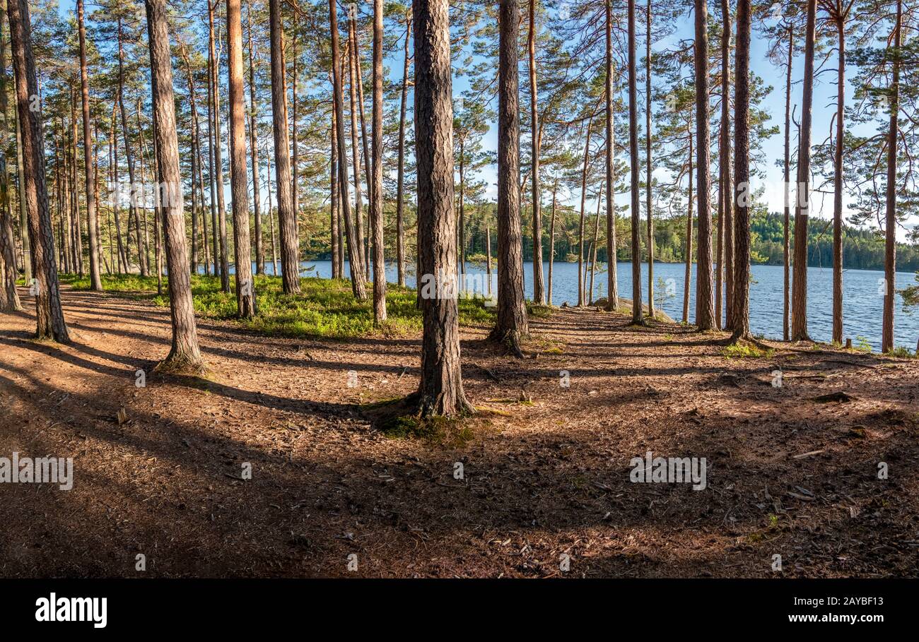 Parc national de Tiveden Banque D'Images