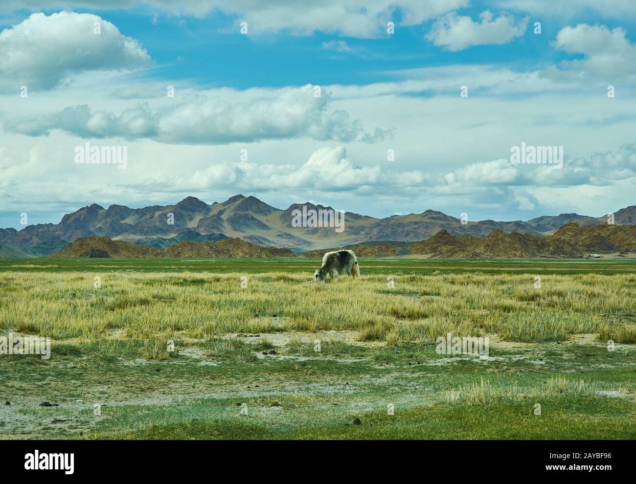 Dorbot passe d'Ulan-Baishint. Mongolie. Banque D'Images