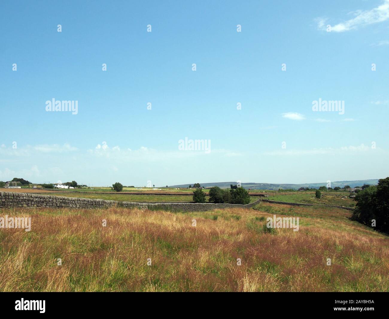 vue panoramique sur un long mur de pierre entre les champs couverts d'herbe près de blackshaw head dans le yorkshire de l'ouest avec des fermes éloignées a Banque D'Images