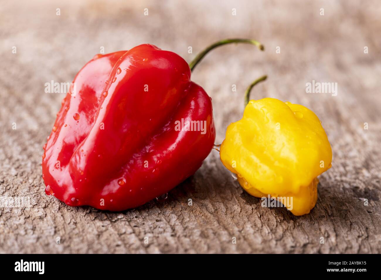 Habanero chiles rouges et les jaunes sur le bois Banque D'Images