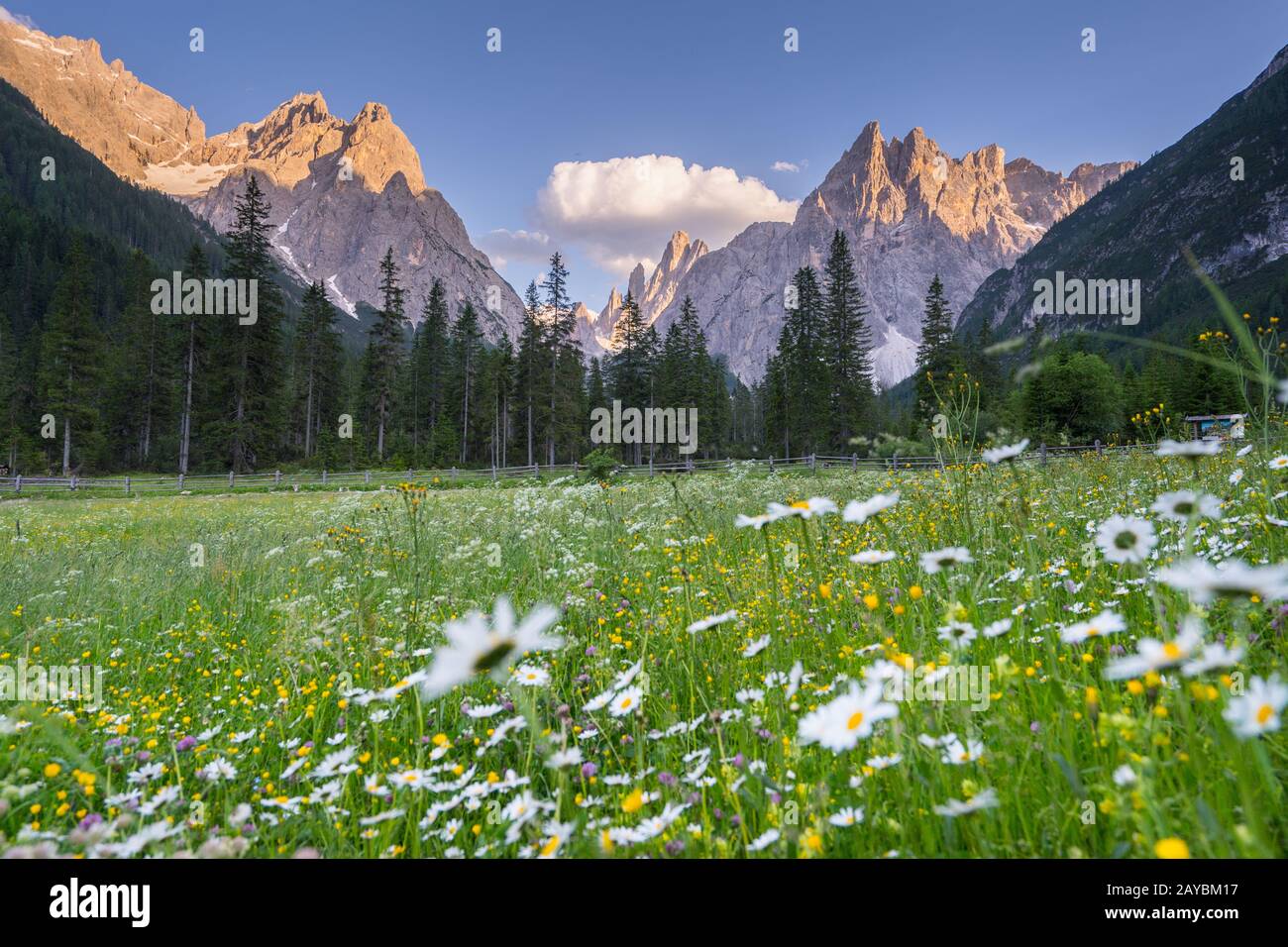 Erwern im Fischleintal in Südtirol mit Blick auf die Berge Banque D'Images
