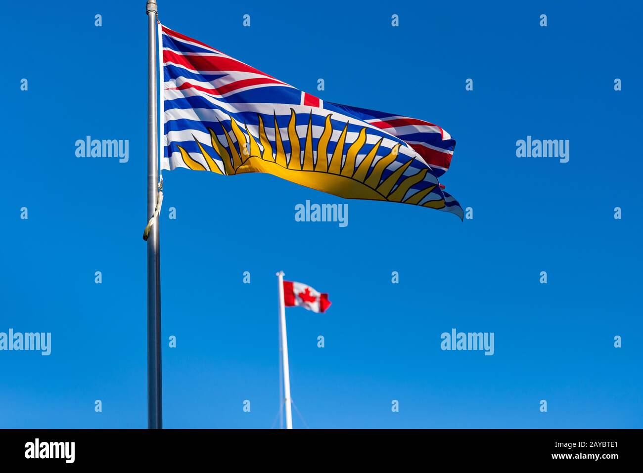 Drapeau de la Colombie-Britannique volant avec drapeau canadien en arrière-plan lors d'une journée ensoleillée avec ciel bleu Banque D'Images