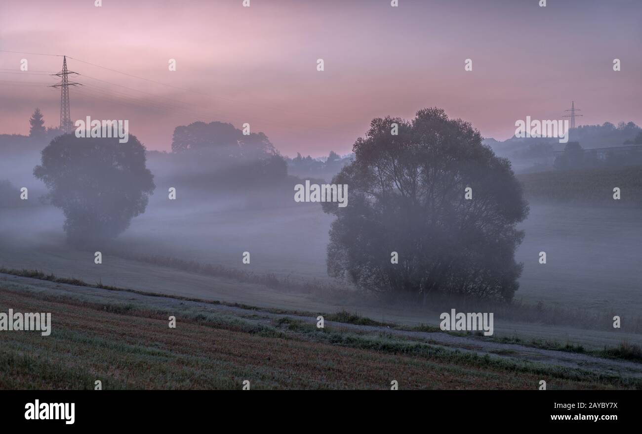 Humeur du matin en Haute-Franconie Banque D'Images