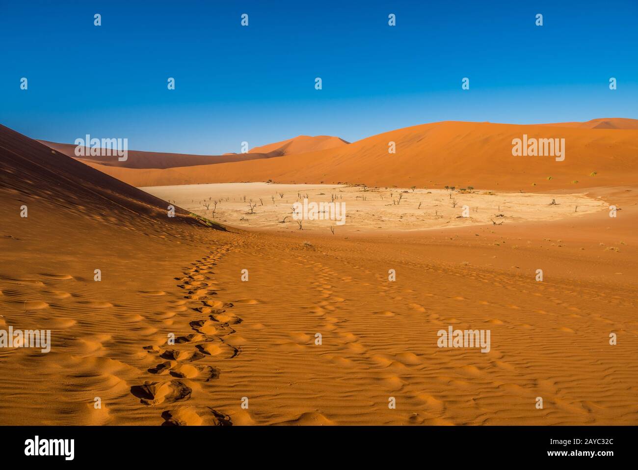 Dans les dunes de sable rouge de Sossusvlei, Deadvlei, Namib-Naukluft National Park, Namibie Banque D'Images