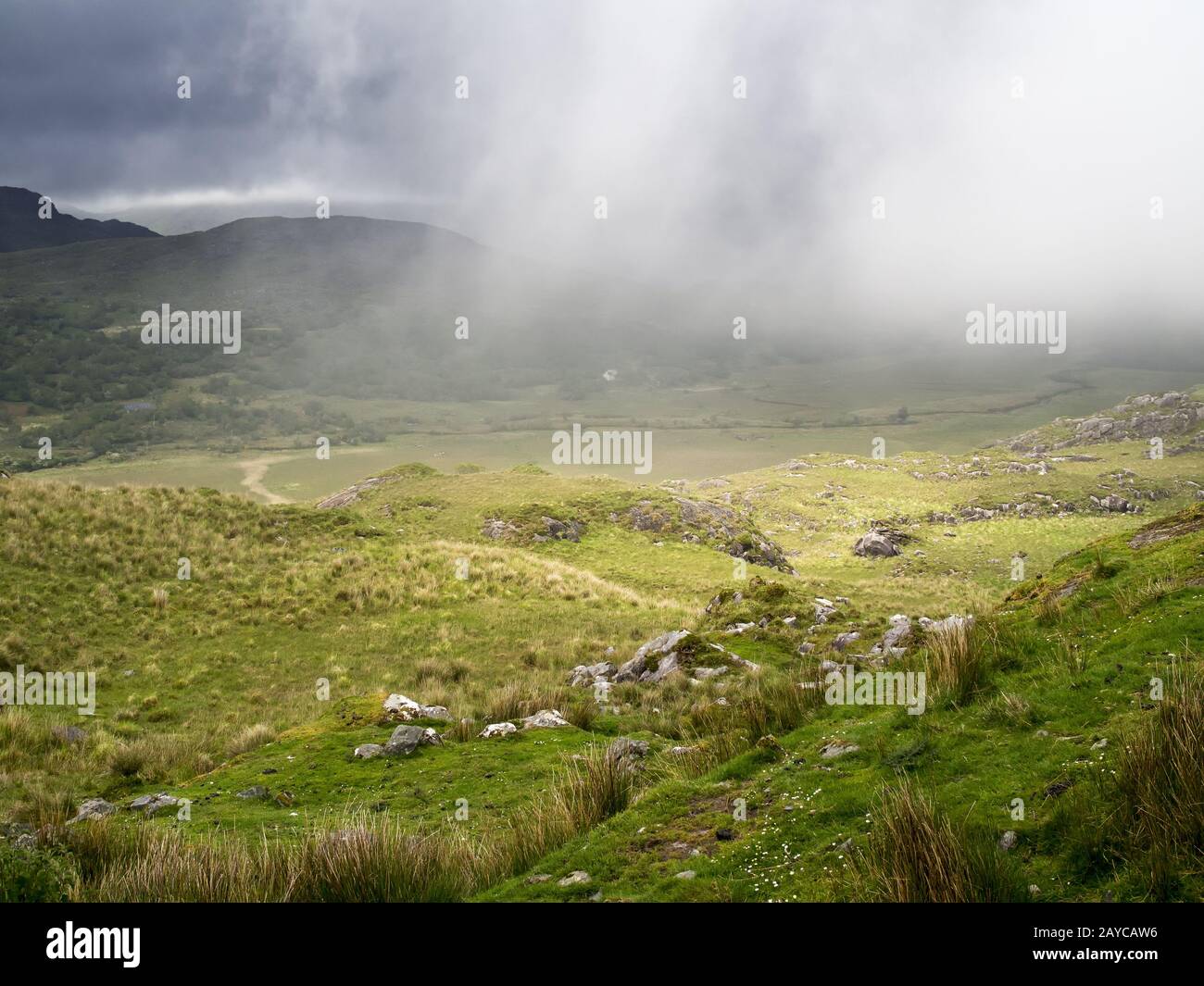 Vallée avec brume sur la péninsule de kerry en irlande Banque D'Images