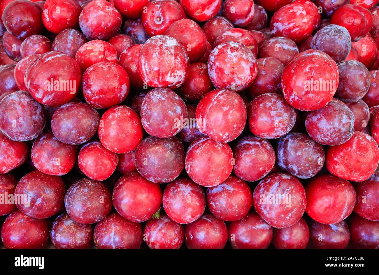 De nombreux prunes rouges fraîches à vendre sur le marché Banque D'Images