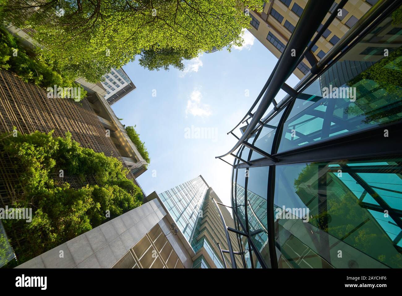 Low angle shot de bâtiments en verre moderne et vert clair avec fond de ciel. Banque D'Images
