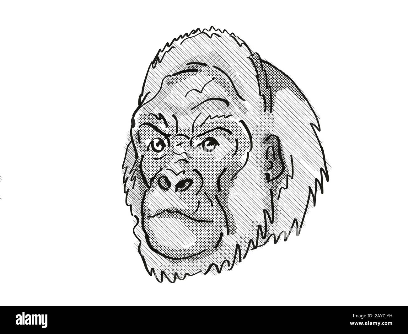 Gorilla des basses-terres de l'Ouest en voie de disparition Carion Retro Drawing Banque D'Images