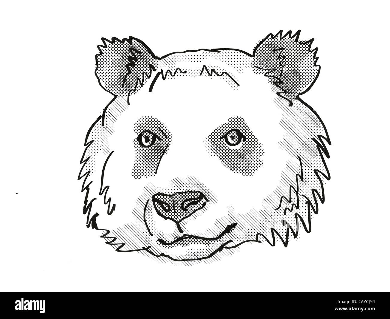 Panda géant en voie de disparition Wildlife Cartoon Retro Drawing Banque D'Images