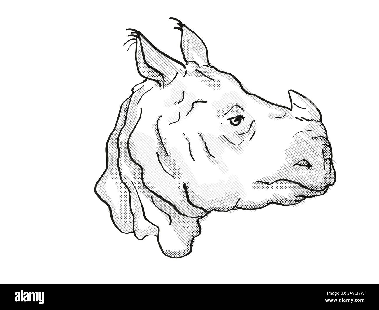 Indian Rhinoceros en voie de disparition Wildlife Cartoon Retro Drawing Banque D'Images