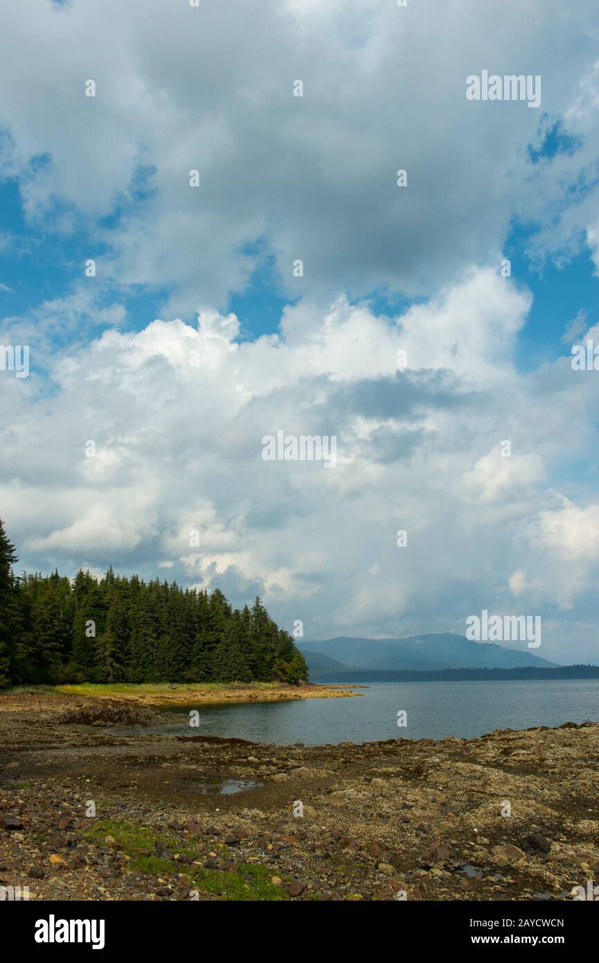 Le littoral à marée basse, exposant les barnacles, le varech et d'autres activités marines au parc marin national Pavlof Harbour, situé sur l'île Chicagof, Alas Banque D'Images