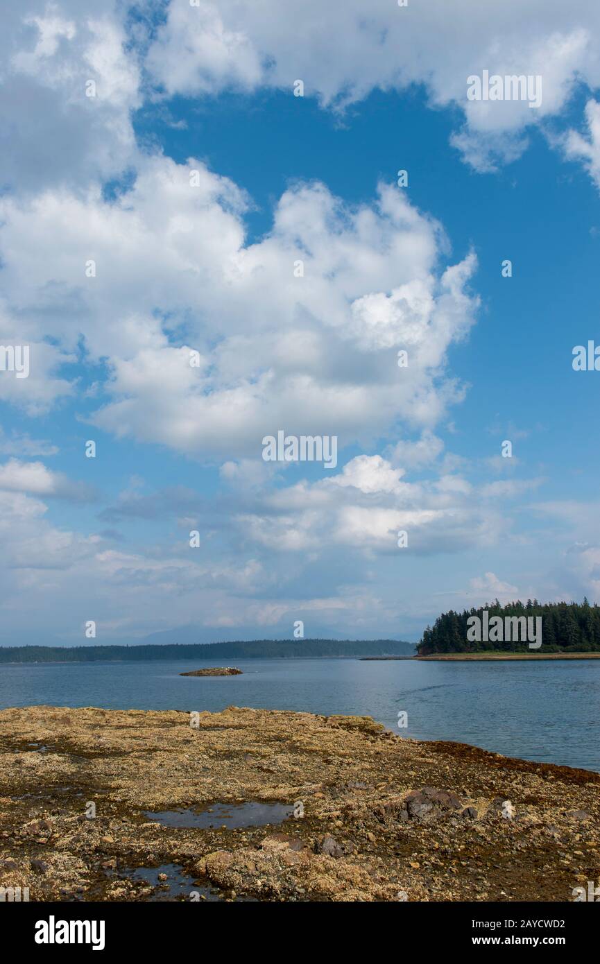 Le littoral à marée basse, exposant les barnacles, le varech et d'autres activités marines au parc marin national Pavlof Harbour, situé sur l'île Chicagof, Alas Banque D'Images
