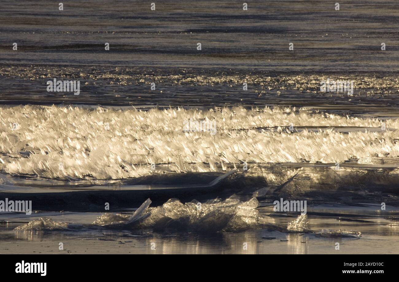 Cristaux de glace formant sur le lac Banque D'Images