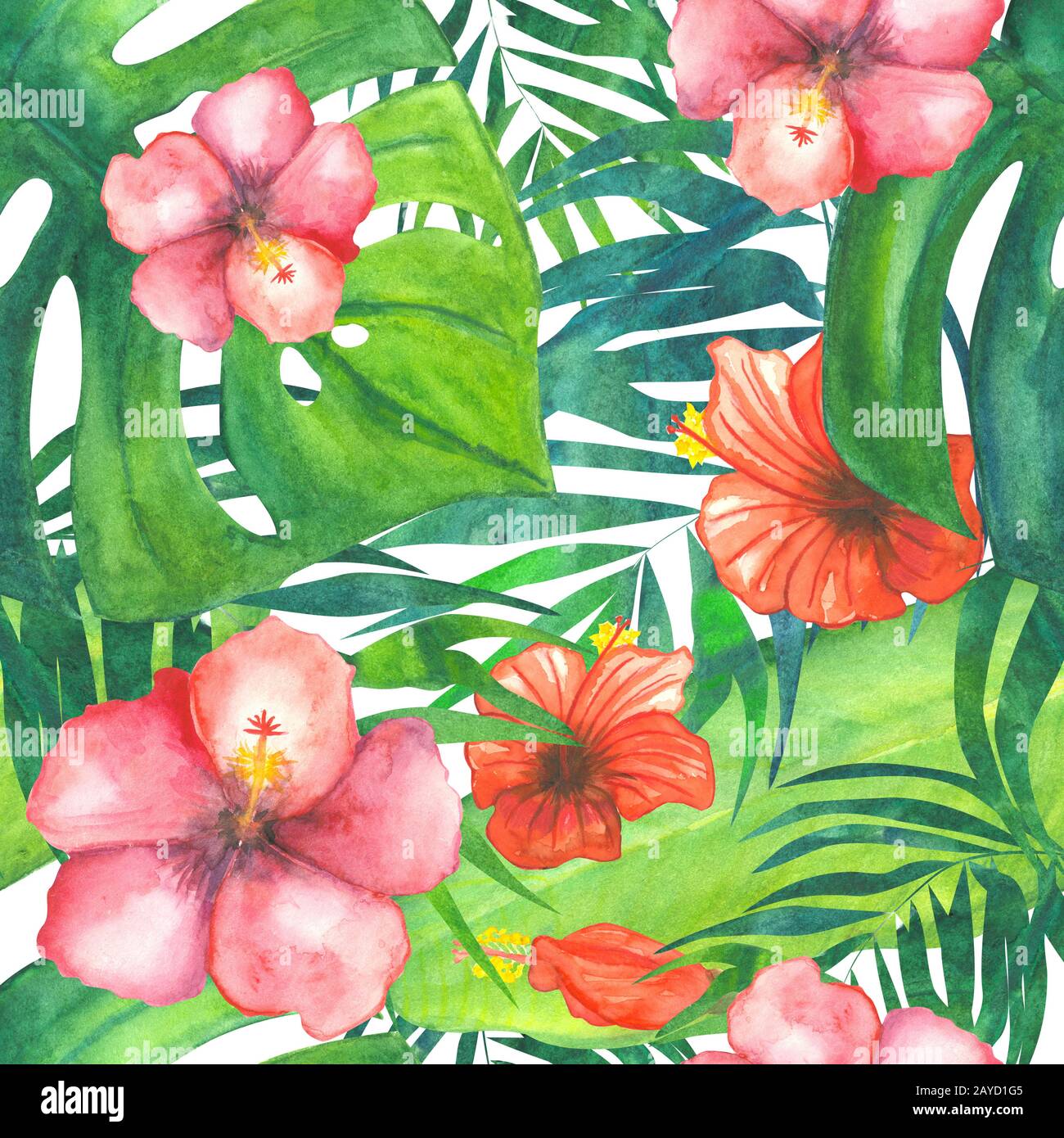 motif aquarelle tropical sans coutures avec hibiscus rouge et rose fleuris isolés sur blanc Banque D'Images