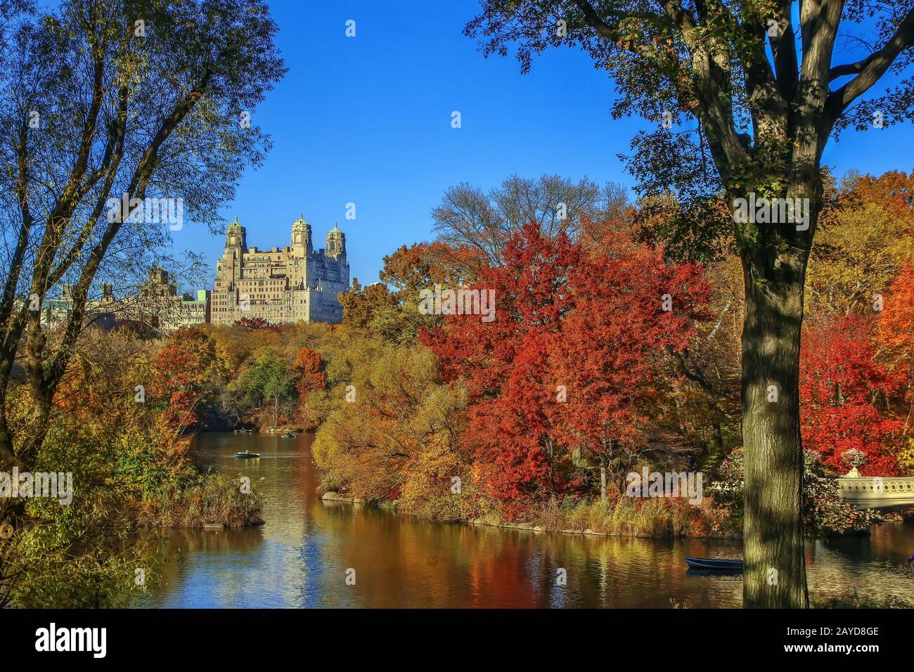 Central Park, New York City, USA Banque D'Images