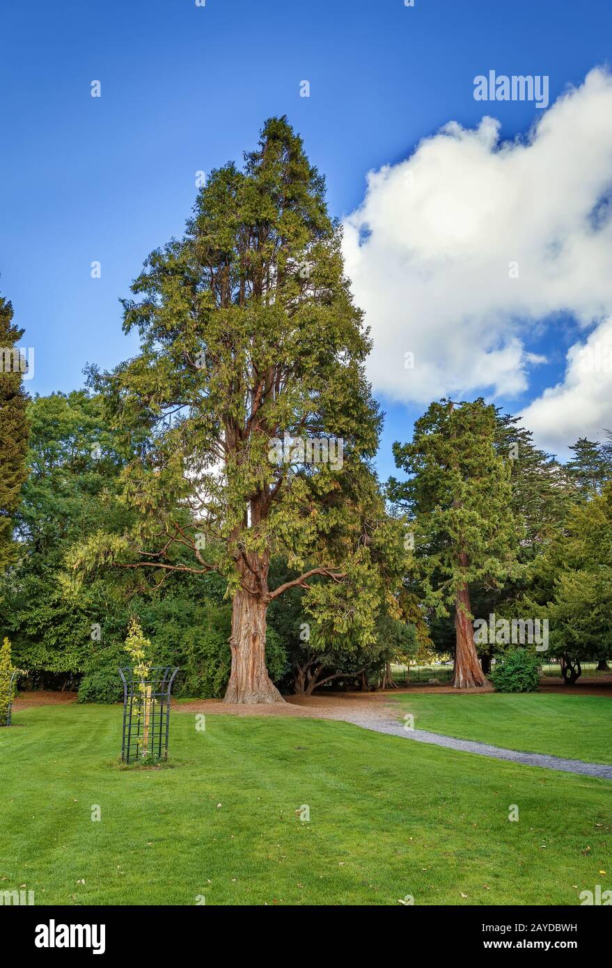 Phoenix Park, Dublin, Irlande Banque D'Images