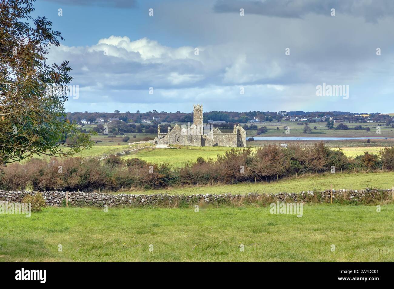 Ross Errilly Friary, Irlande Banque D'Images