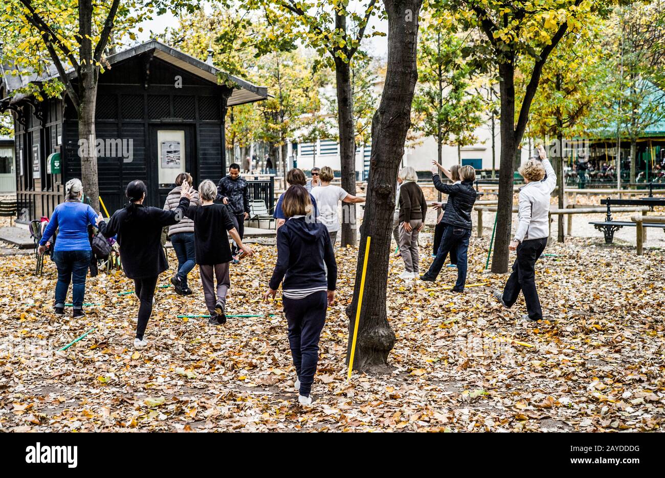 LES FEMMES QUI FONT DE L'EXERCICE GYMNASTIQUE DANS LE JARDIN DU LUXEMBOURG EN AUTOMNE - SAISON PARIS - SCÈNE DE RUE PARIS - FEMMES PARISIENNES © FRÉDÉRIC BEAUMONT Banque D'Images