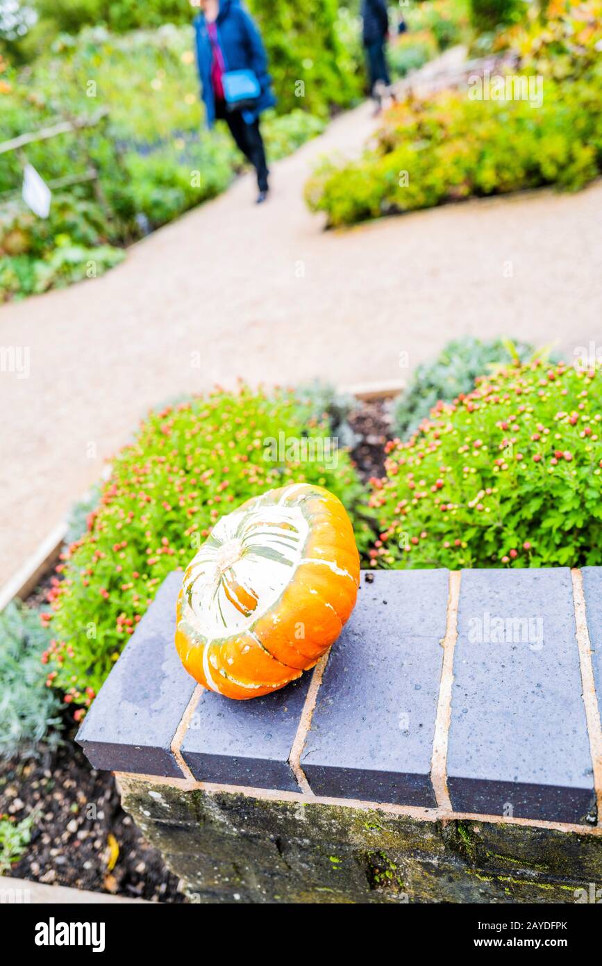 centre de jardinage avec plantes fleurs et légumes angleterre uk Banque D'Images