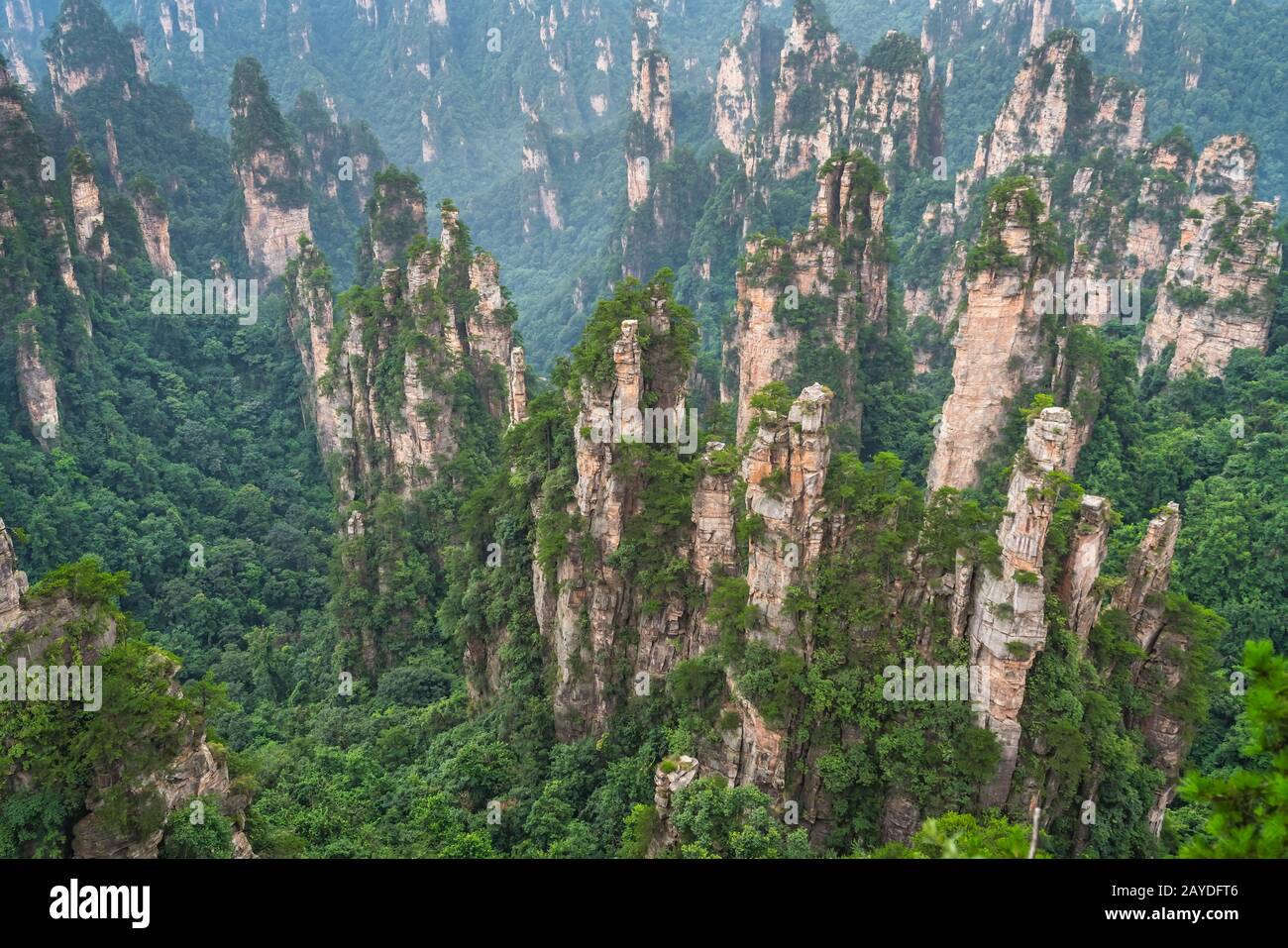 Piliers en pierre des montagnes de Tianzi dans le parc national de Zhangjiajie Banque D'Images
