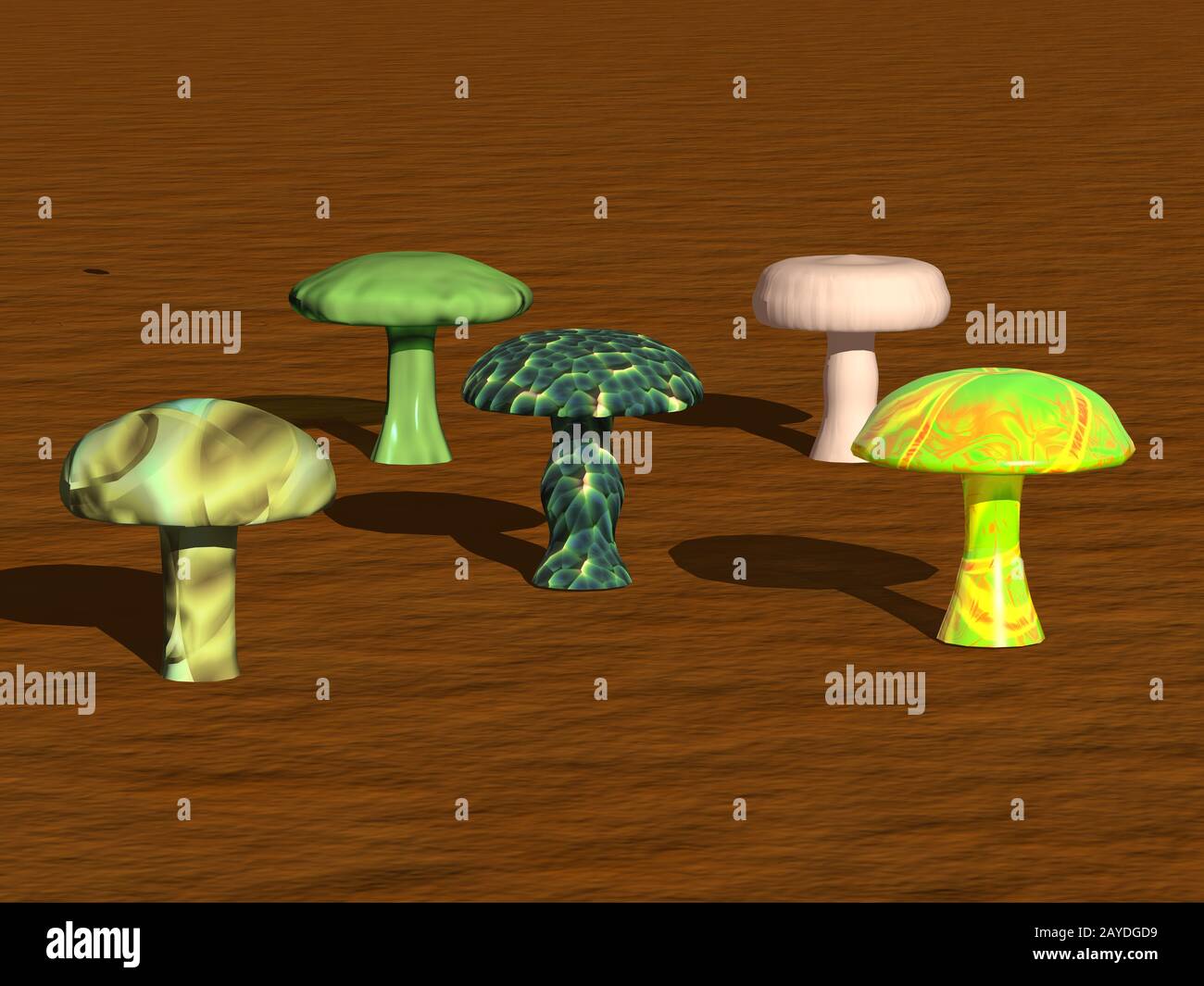 anneau de champignons coloré dans la forêt Banque D'Images
