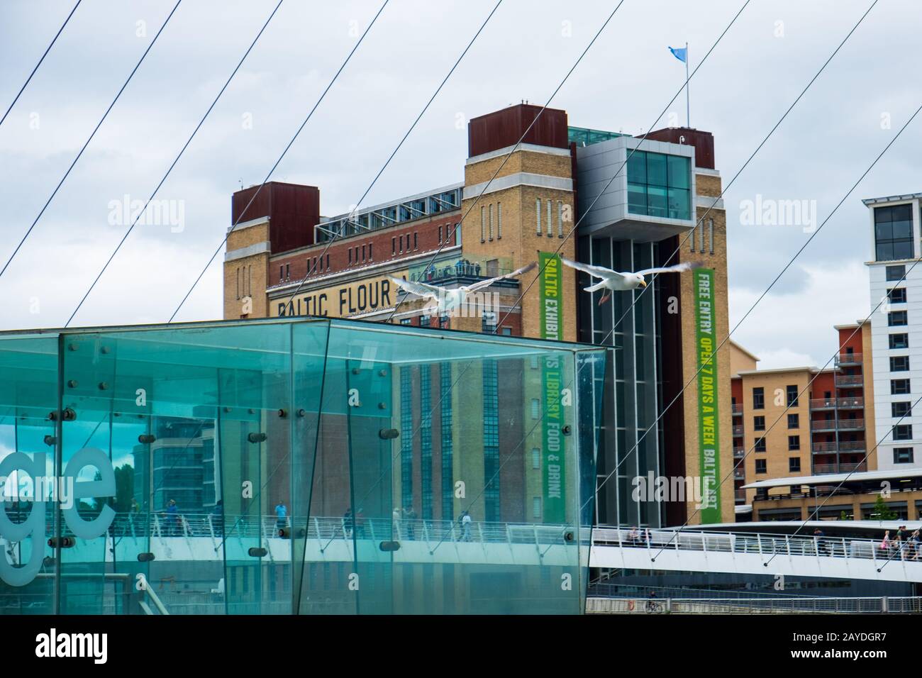 Deux mouettes volent à basse altitude au-dessus du pont du millénaire de Gateshead à Newcastle Quayside. Le Centre balte de Contemporar Banque D'Images