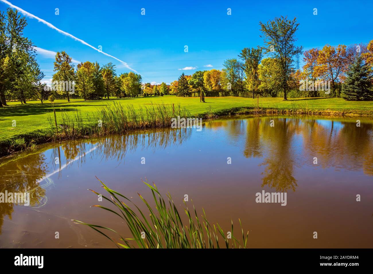 Journée de briller au Canada français Banque D'Images