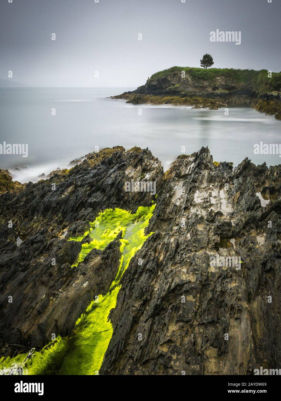 Pluie et tempête sur la côte près de bantry ireland Banque D'Images