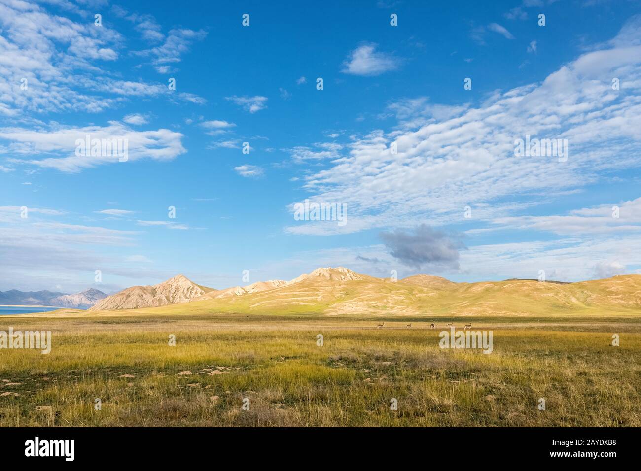 qinghai trois sources fluviales région principale paysage Banque D'Images