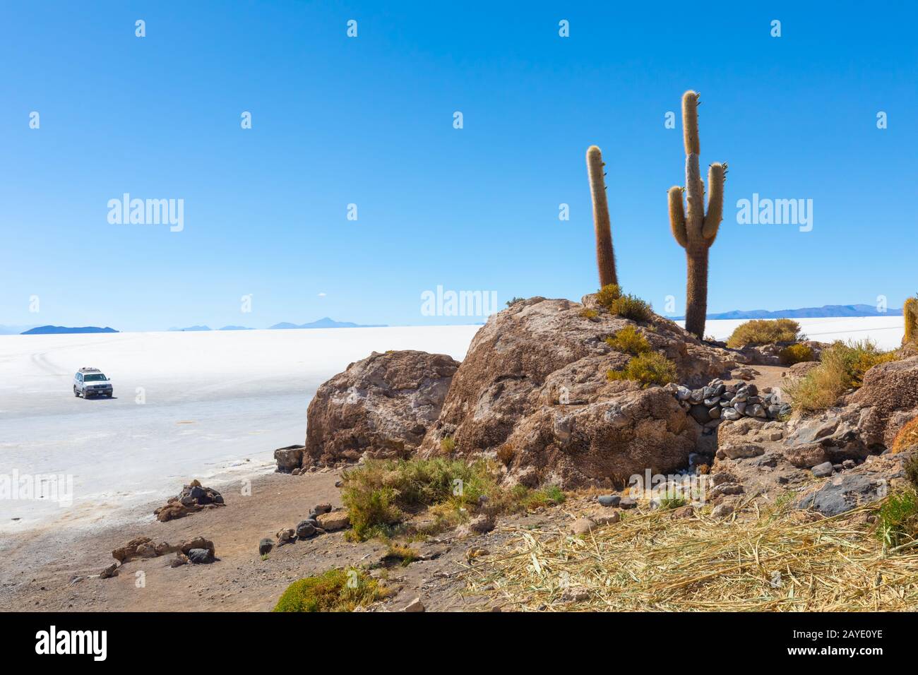 Bolivie Uyuni arrivée sur l'île d'Incahuasi Banque D'Images