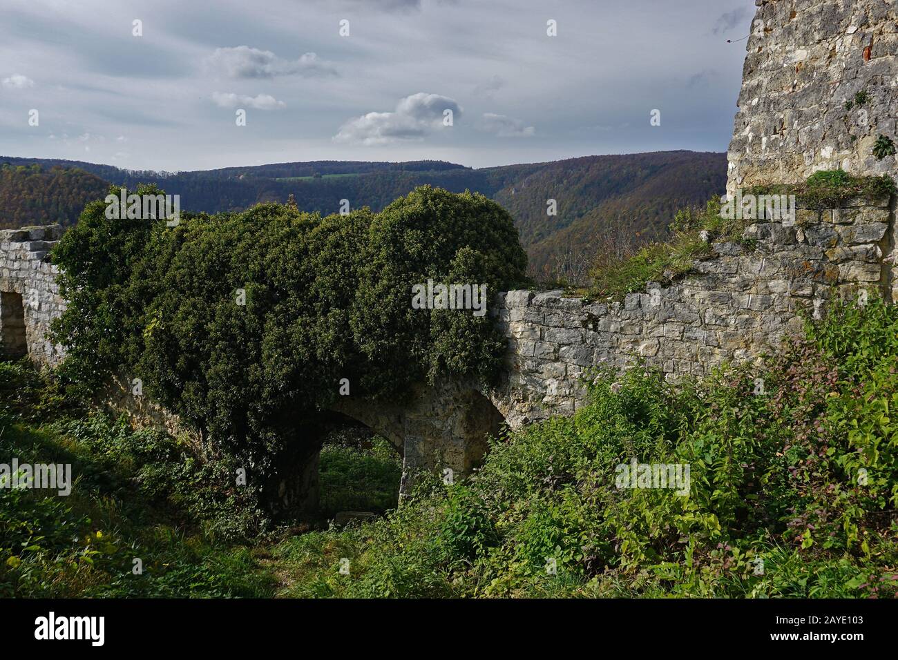 Ruine Hohenurach près de Bad Urach, Alb swabian Banque D'Images