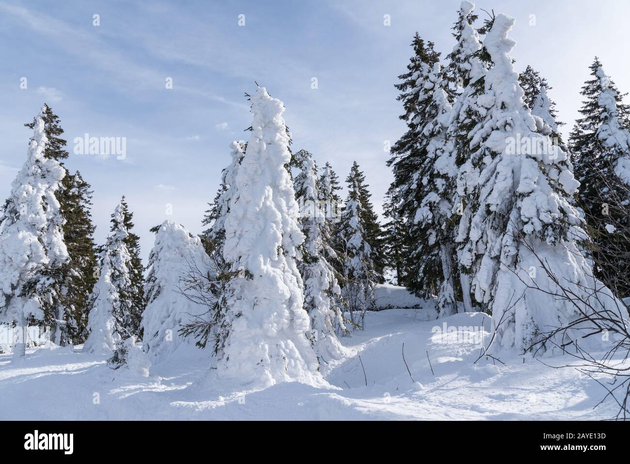 Hiver le plus profond dans le domaine skiable de Hochficht - journée d'hiver ensoleillée Banque D'Images