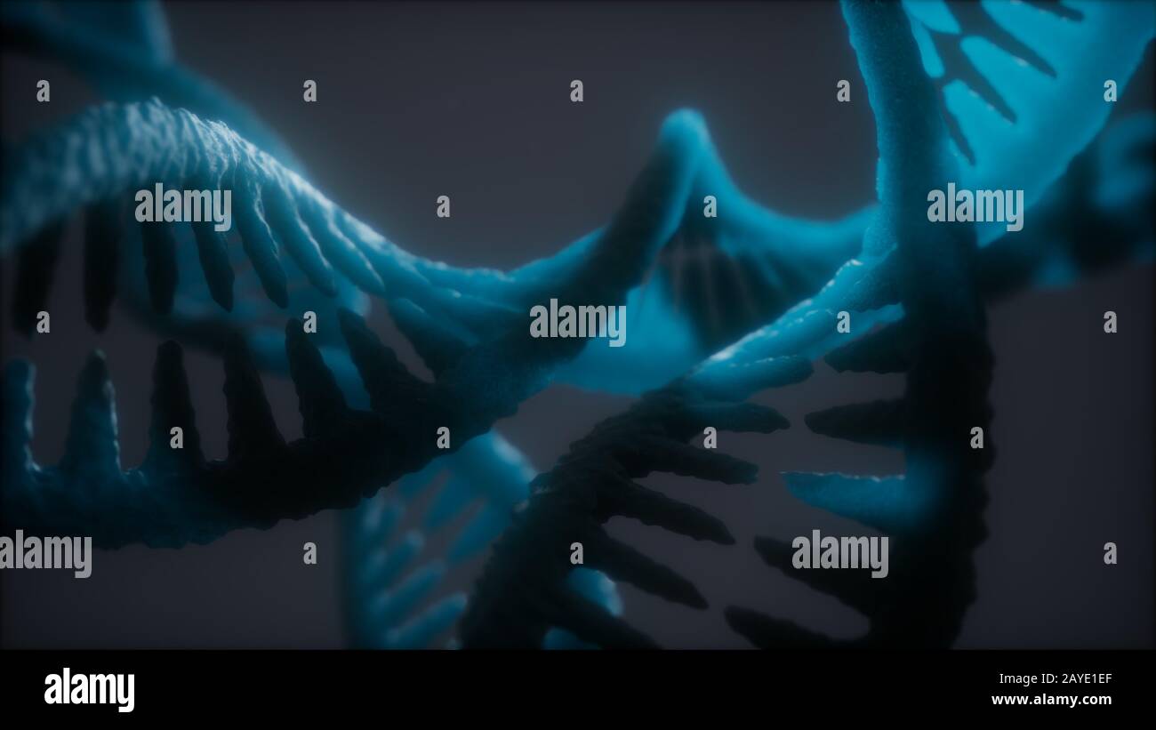 Double boucle structure hélicoïdale de brin d'ADN et de l'animation close-up Banque D'Images